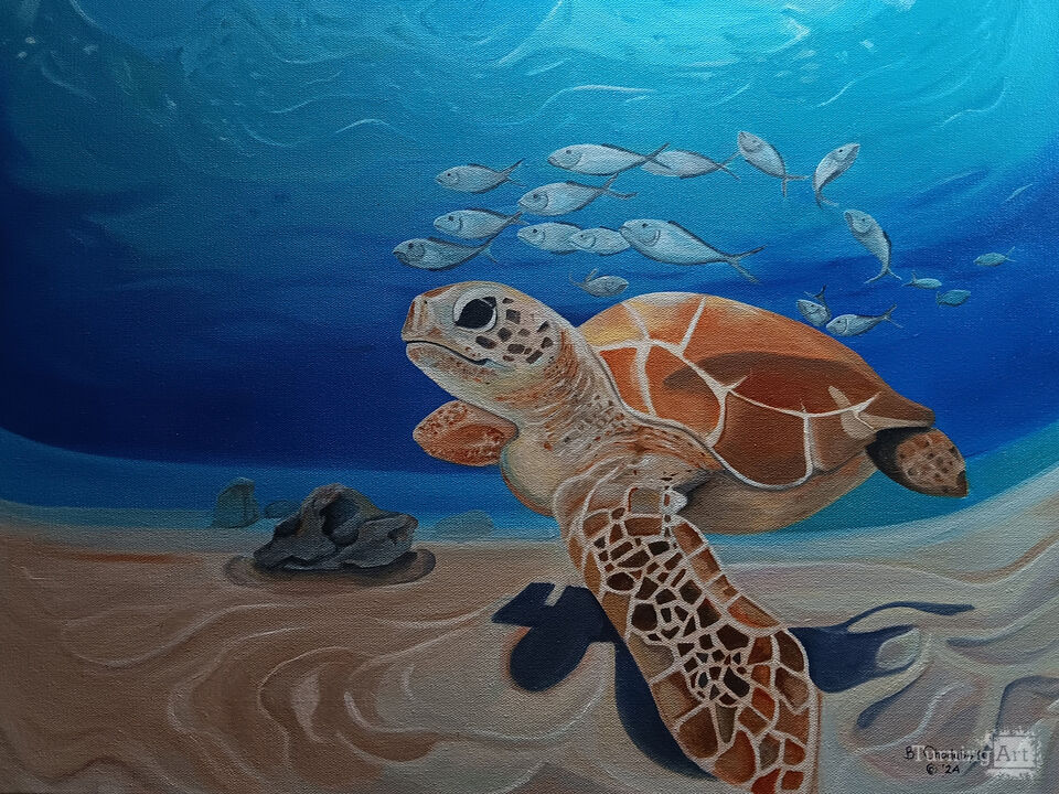 A Sea Turtle In A Fish Eye Lens