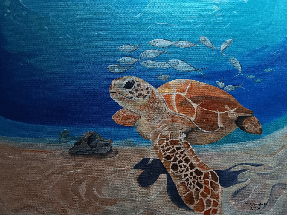 A Sea Turtle In A Fish Eye Lens