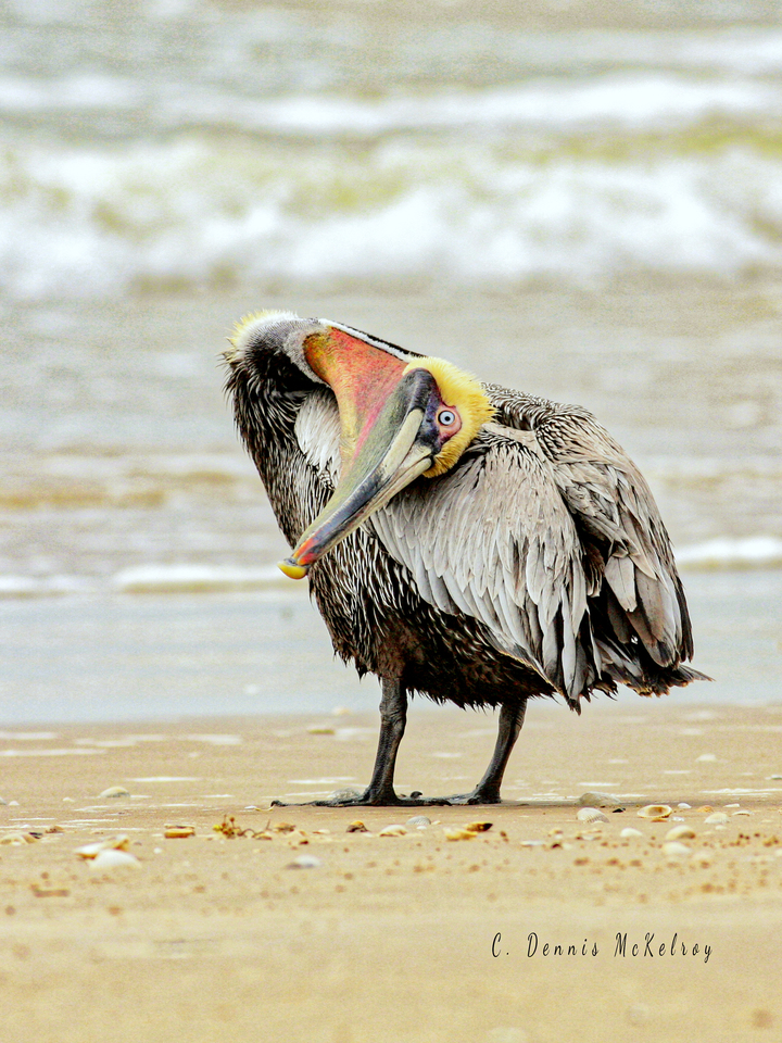 Different point of View