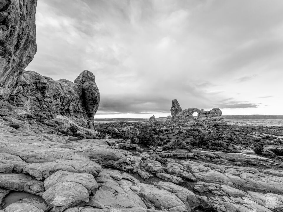 Magical Morning Turret Arch Grayscale