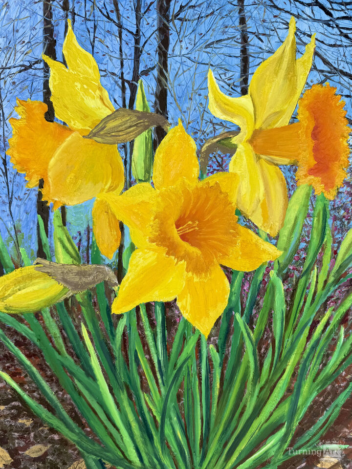 Daffodil Day