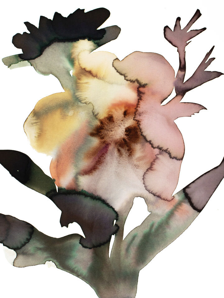 Abstract Floral No. 31