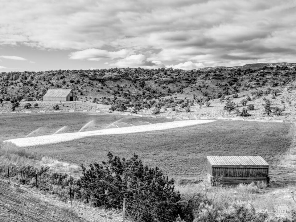 Torrey Utah Farmland Grayscale