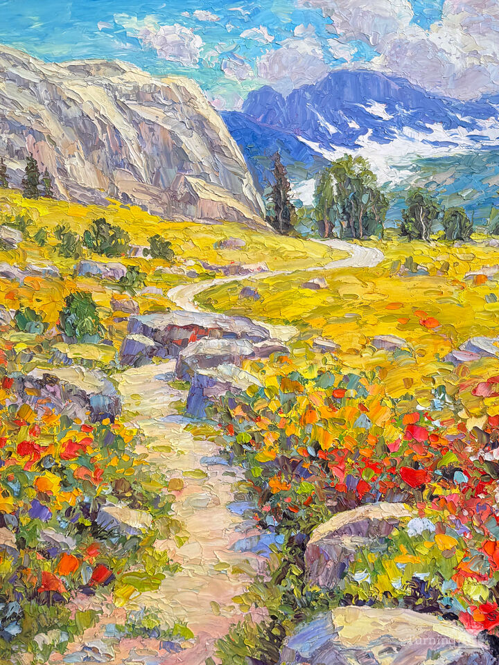 Desert Pathways