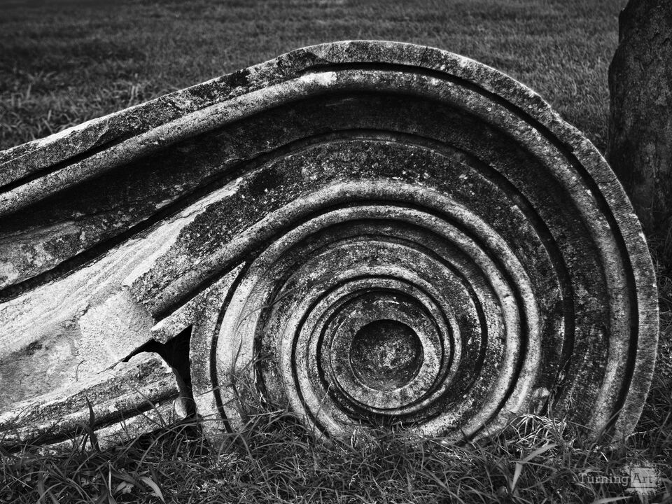 Ionic Column Fragment with Spiral in Nashville