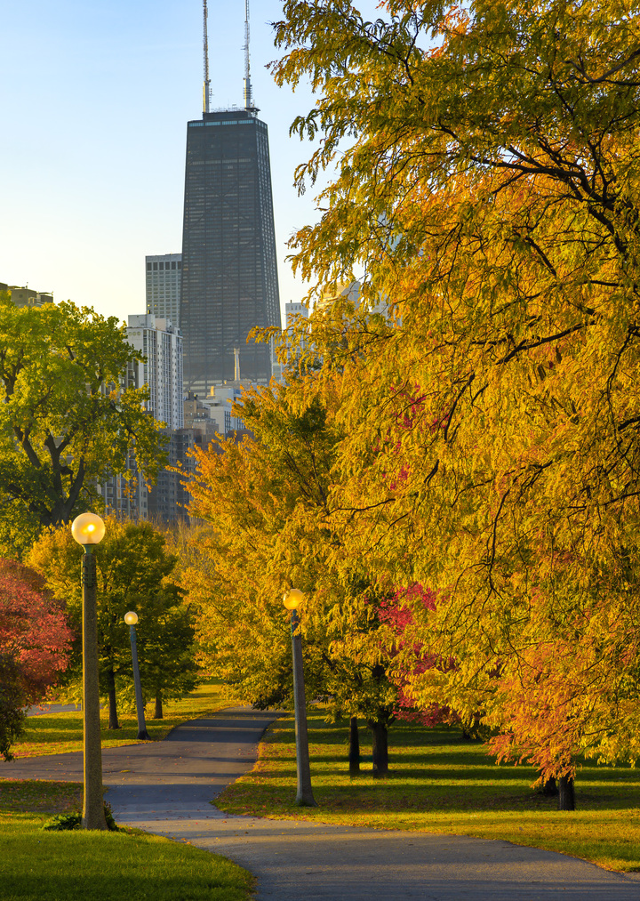 Autumn in Lincoln Park Chicago