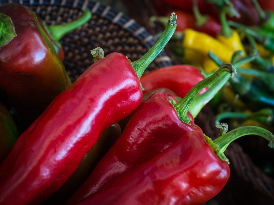 Chili Peppers in a Basket
