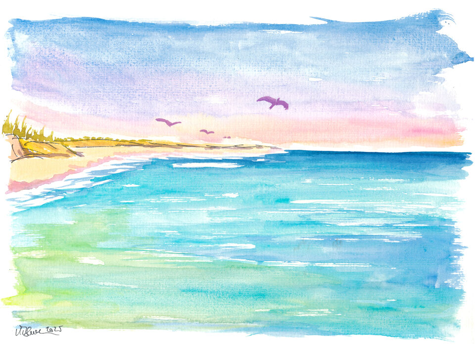 Seabirds Soaring Above Blue Waves on North Coast