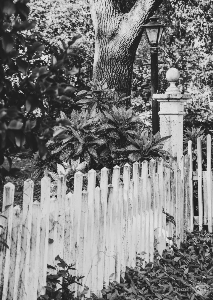 Summerville #7 (Black and White)