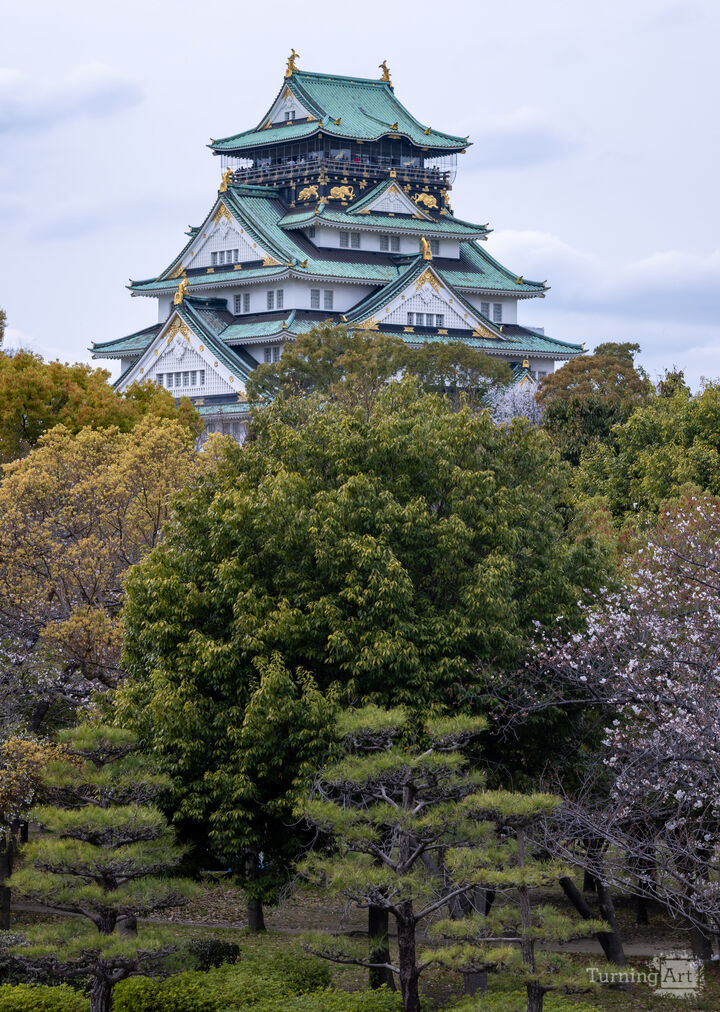 Spring at Osaka Castle (Portrait)