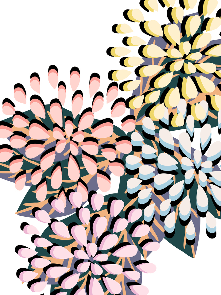 FLORAL FIREWORKS 1 ABSTRACT CONTEMPORARY FLOWERS
