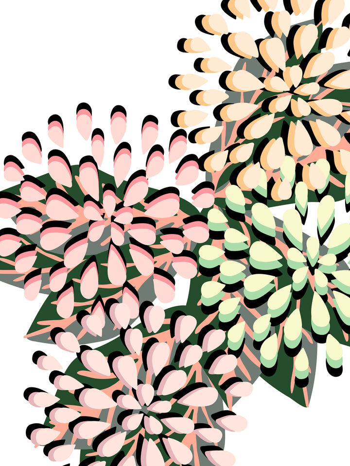 FLORAL FIREWORKS 2 ABSTRACT CONTEMPORARY FLOWERS