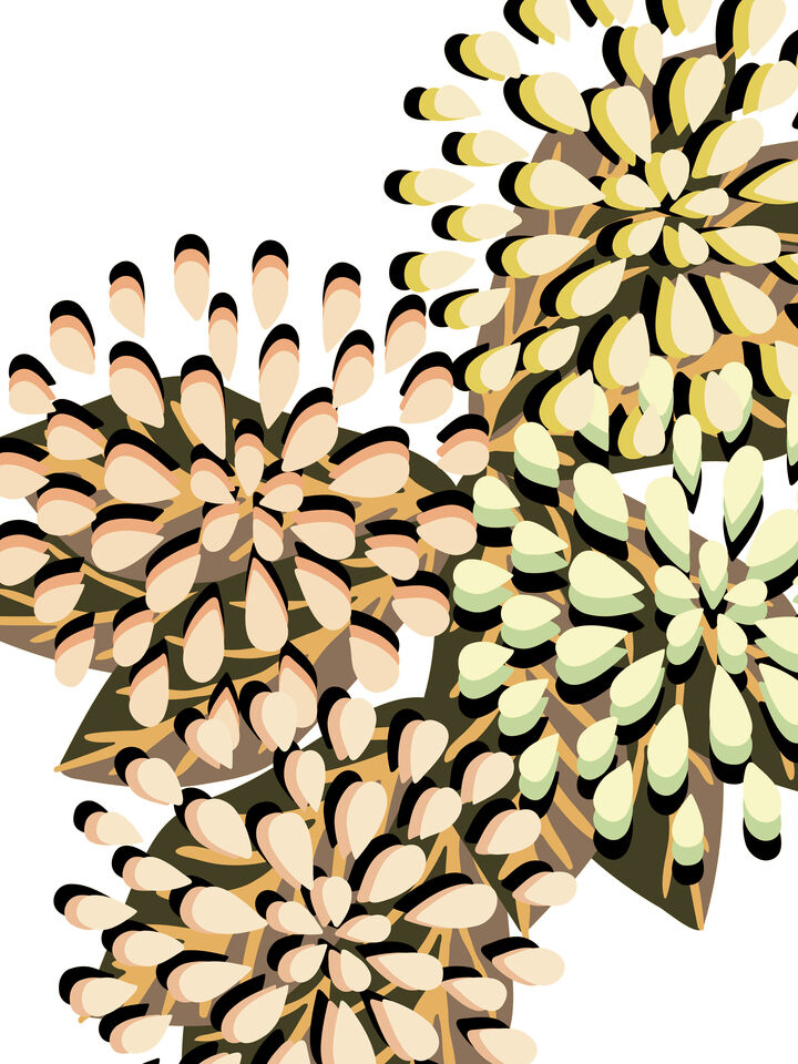 FLORAL FIREWORKS 3 ABSTRACT CONTEMPORARY FLOWERS