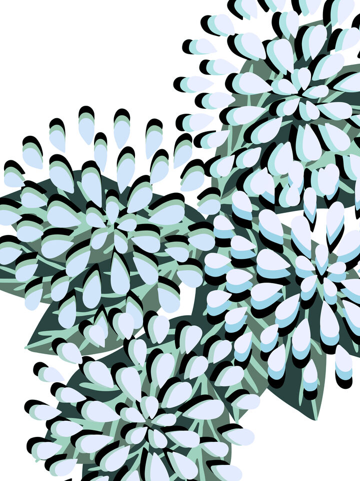 FLORAL FIREWORKS 7 ABSTRACT CONTEMPORARY FLOWERS