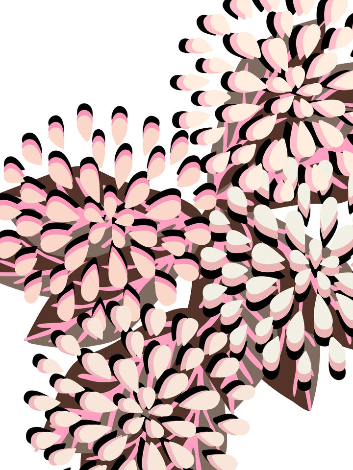 FLORAL FIREWORKS 8 ABSTRACT CONTEMPORARY FLOWERS