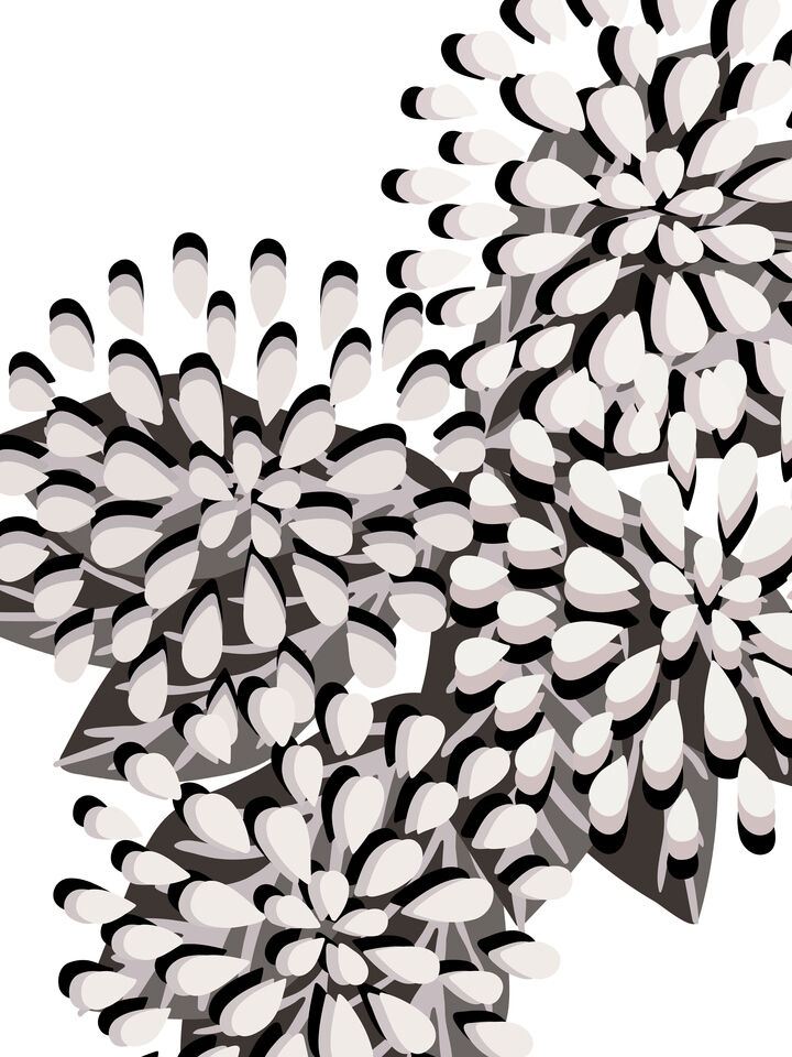 FLORAL FIREWORKS 9 ABSTRACT CONTEMPORARY FLOWERS