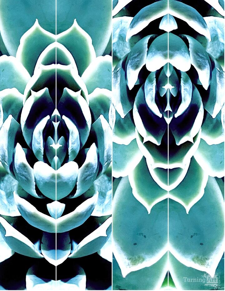 Succulents Panel I