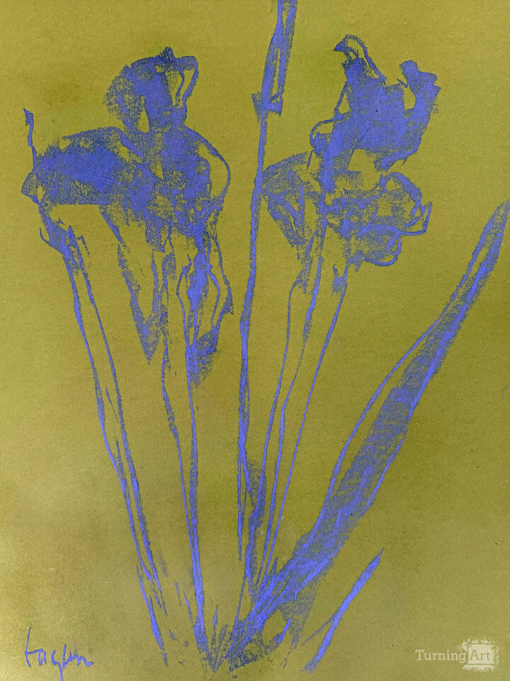 Iris I