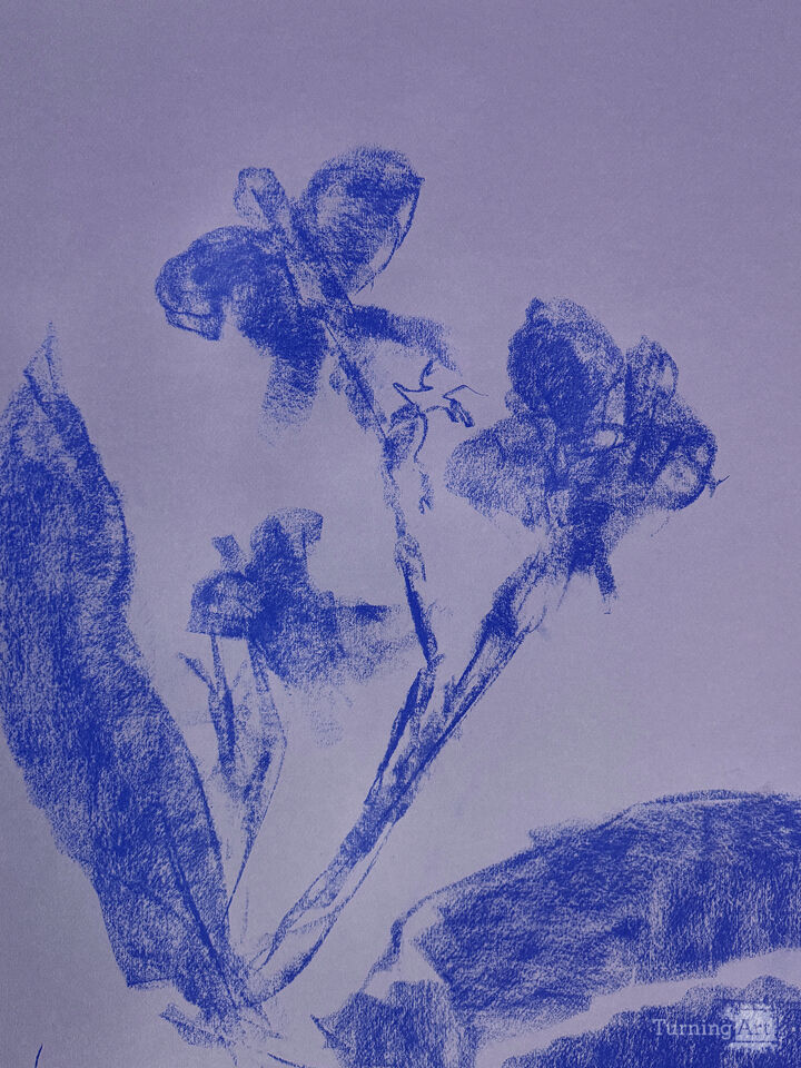 Orchid Sisters I Blue