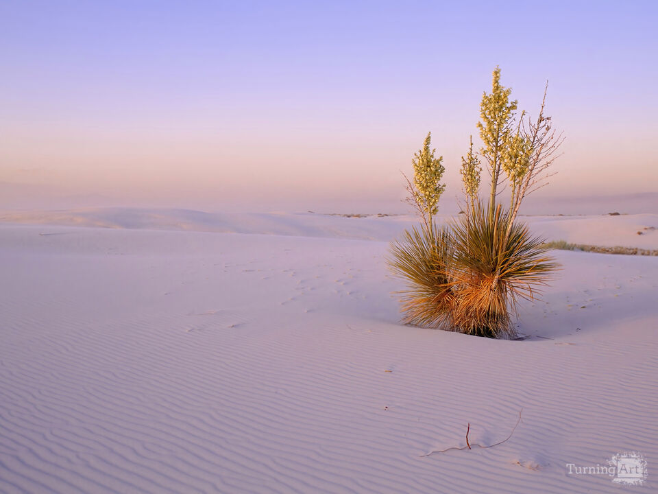 Sunset on White Sands