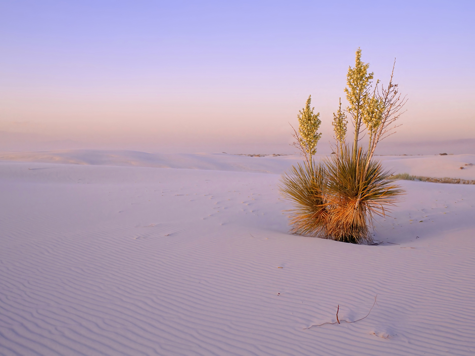 Sunset on White Sands
