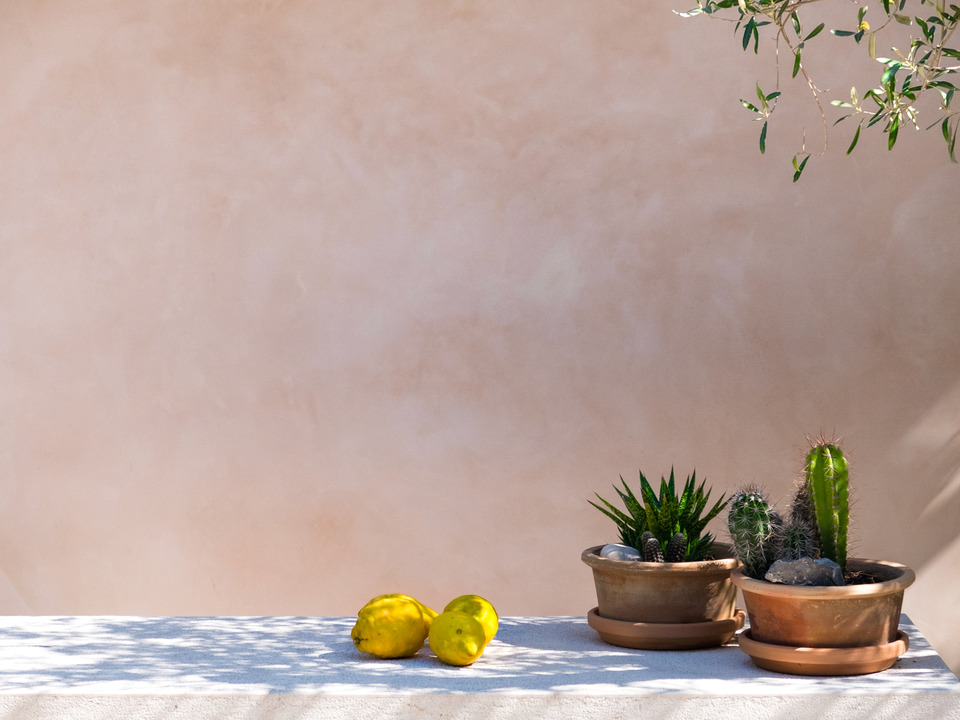 Lemons #1