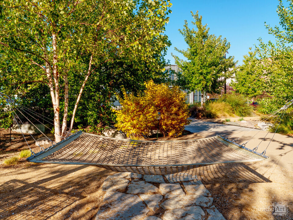 Hammock In The Shadows Of Omaha