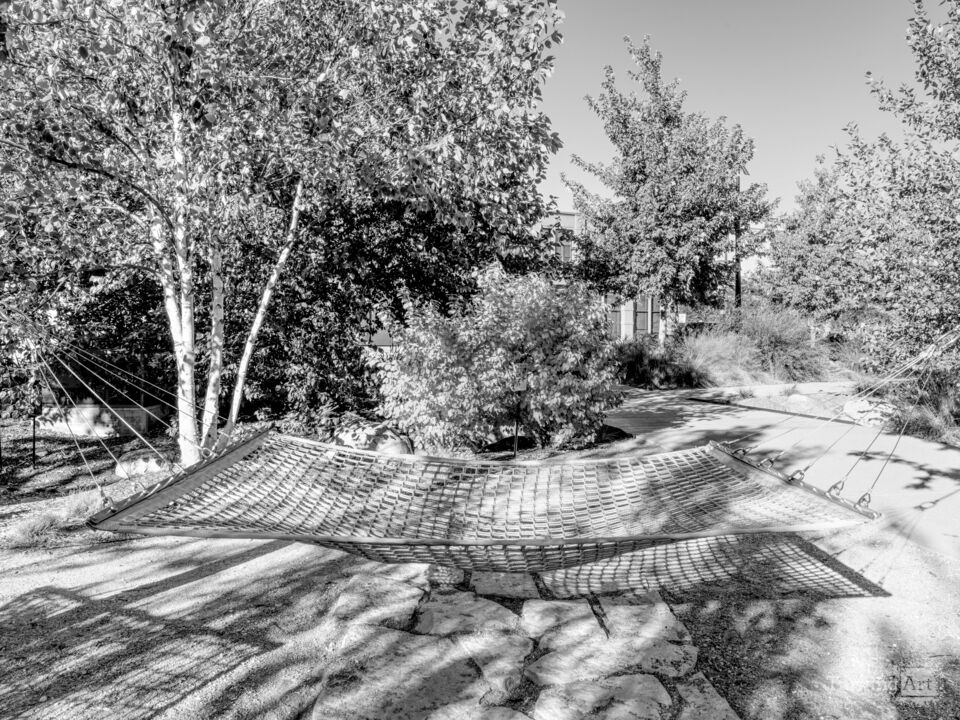 Hammock In The Shadows Of Omaha Grayscale