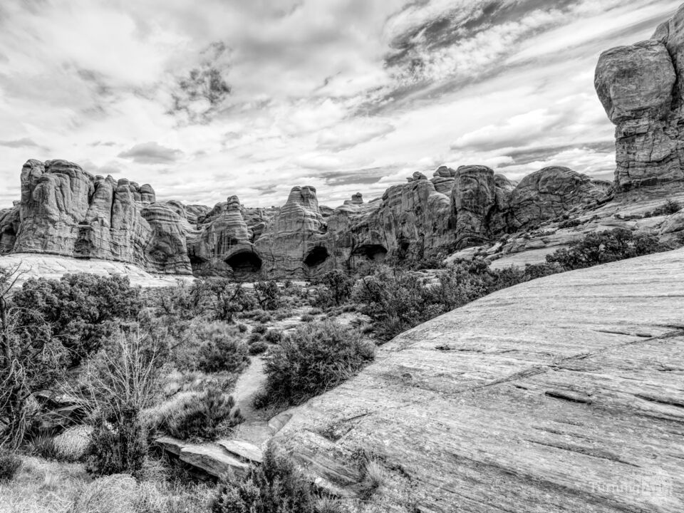 Cove Of Caves Utah Grayscale