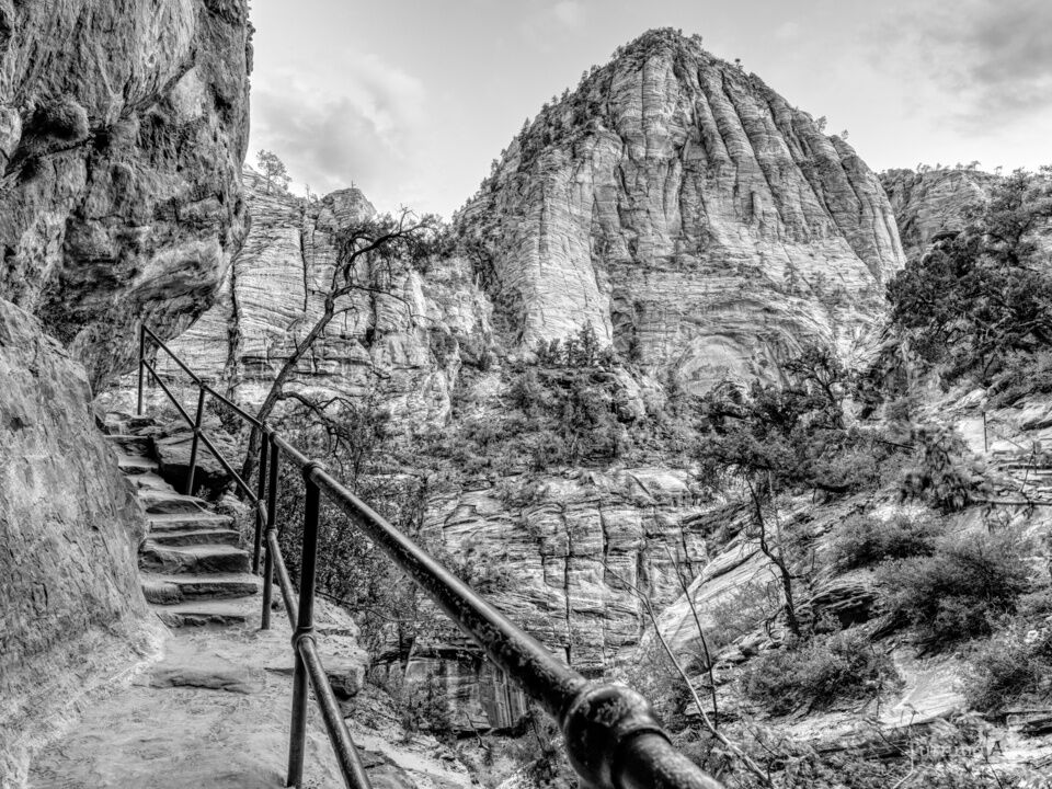 Zion Canyon Overlook Trail After Sunset Grayscale