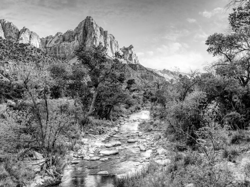 Zion The Watchman Sunset Grayscale