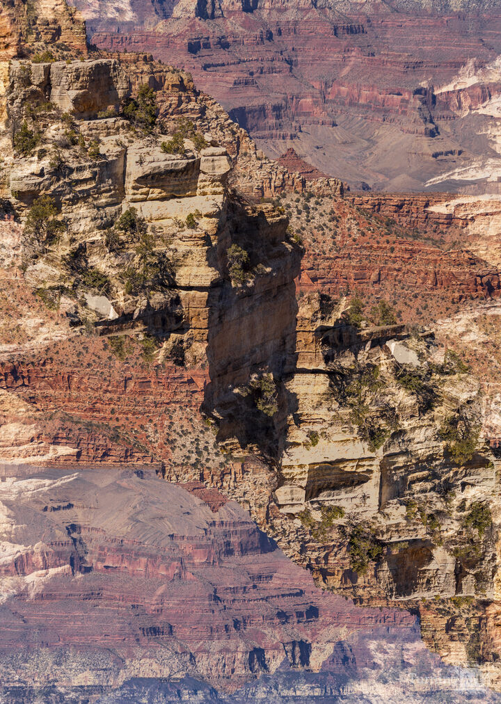 Grand Canyon #8