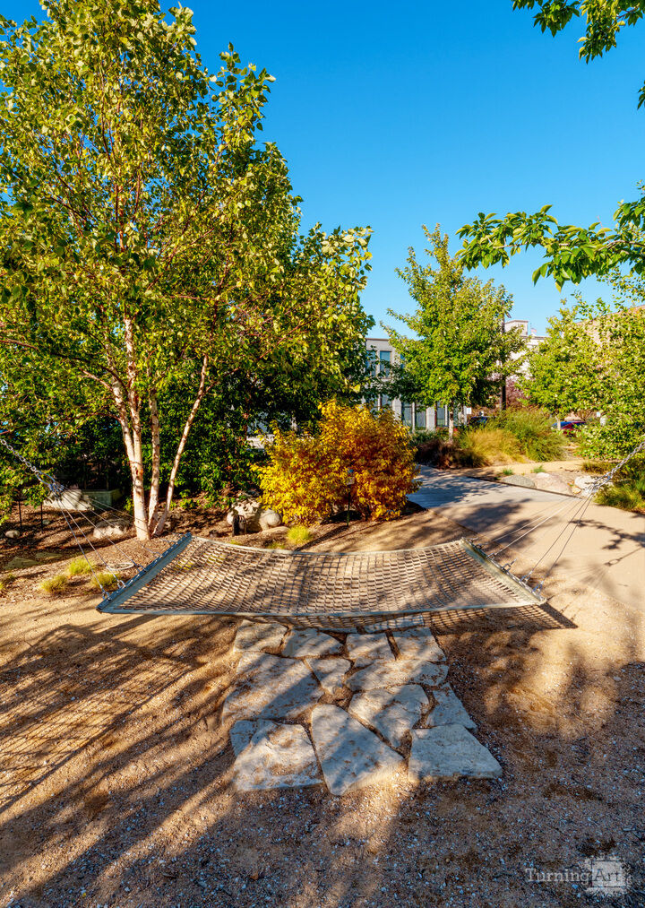 Shadows At The Hammock