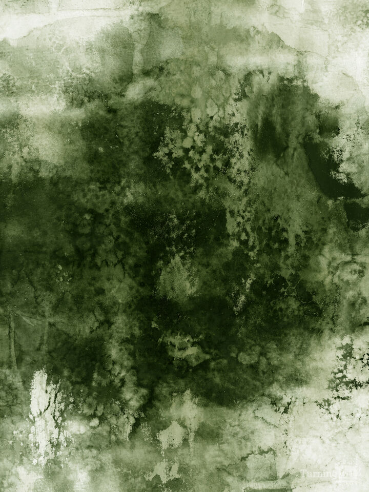 EPOCH 4 AVOCADO GREEN - ABSTRACT GRUNGE URBAN PAINTING