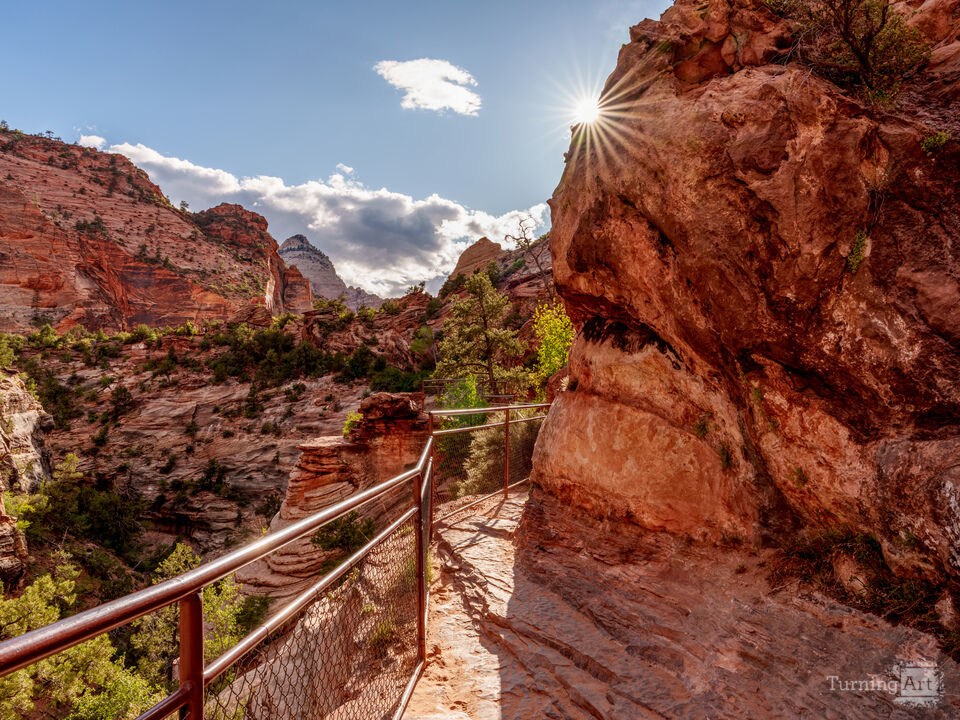 Zion Canyon Overlook Trail Sun Star
