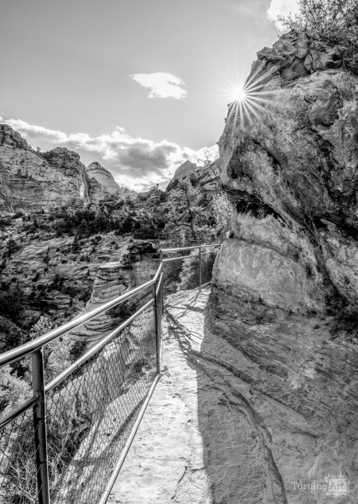Zion Canyon Overlook Trail Sun Star Vertical Grayscale