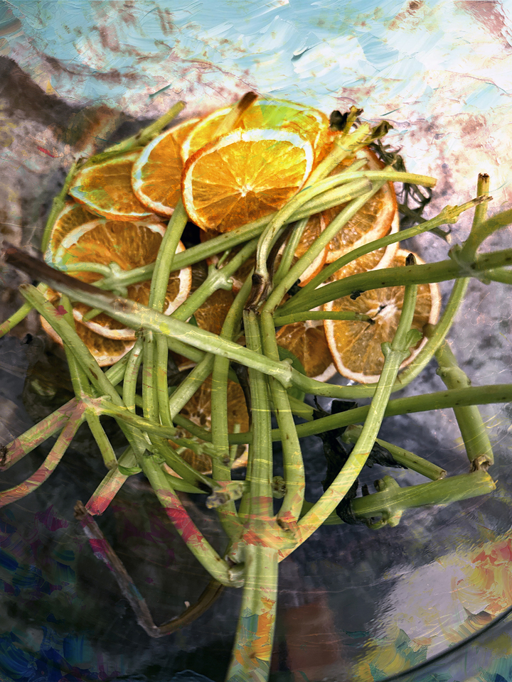 Compost Bouquet 