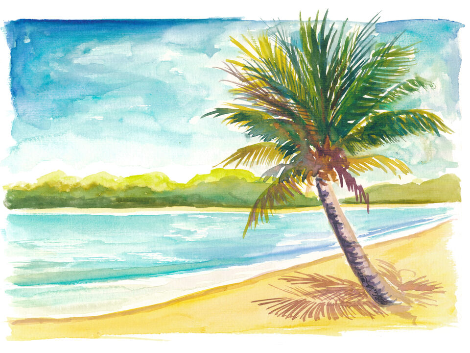 Dream Beach at Apple Bay Tortola BVI