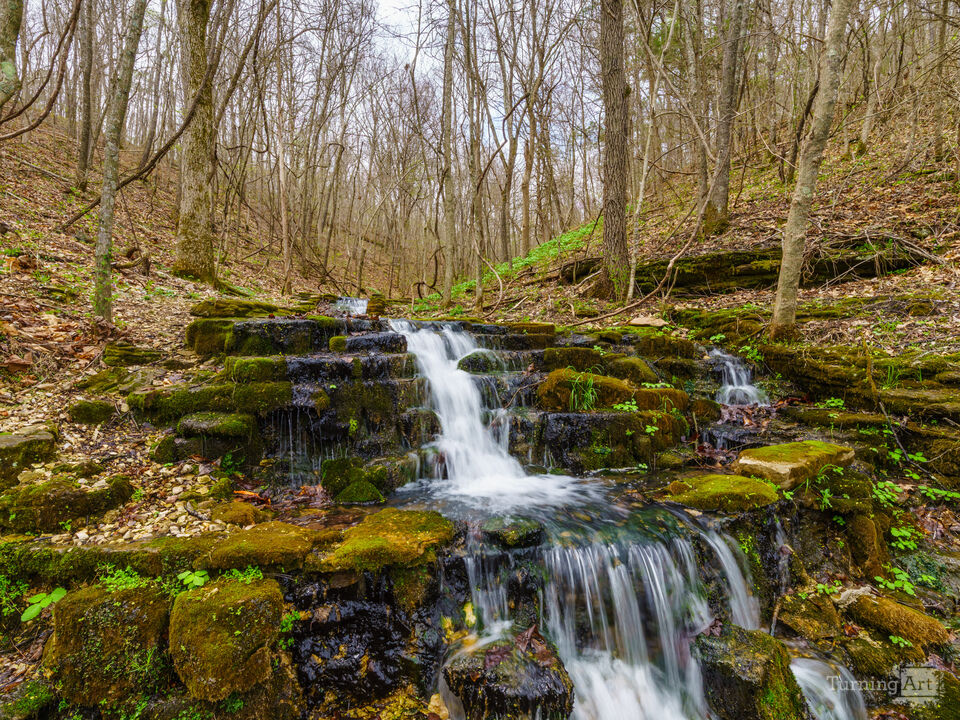 Rustic Falls In The Woods