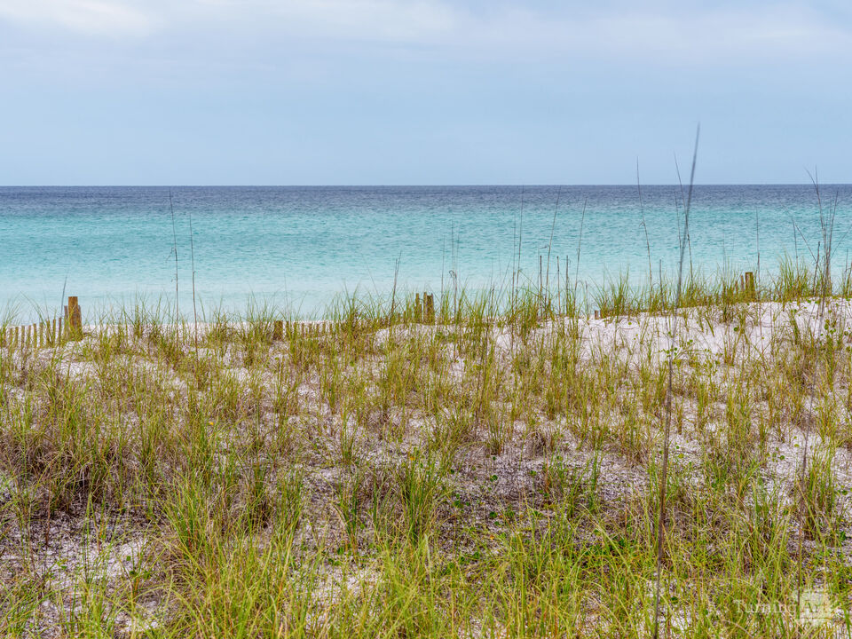 Sand Dunes And Sea Oats On Destin Beach