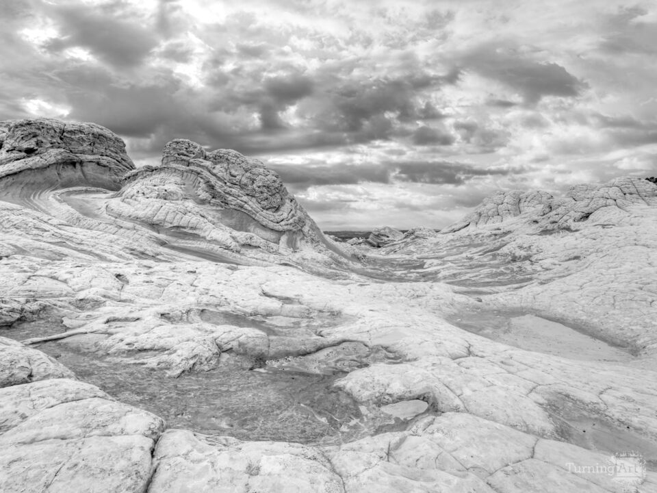 White Pocket Other Worldly Grayscale