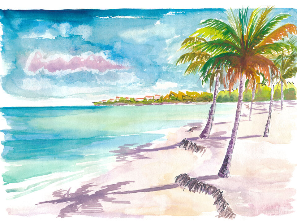 Shoal Bay Anguilla White Sands with Palms