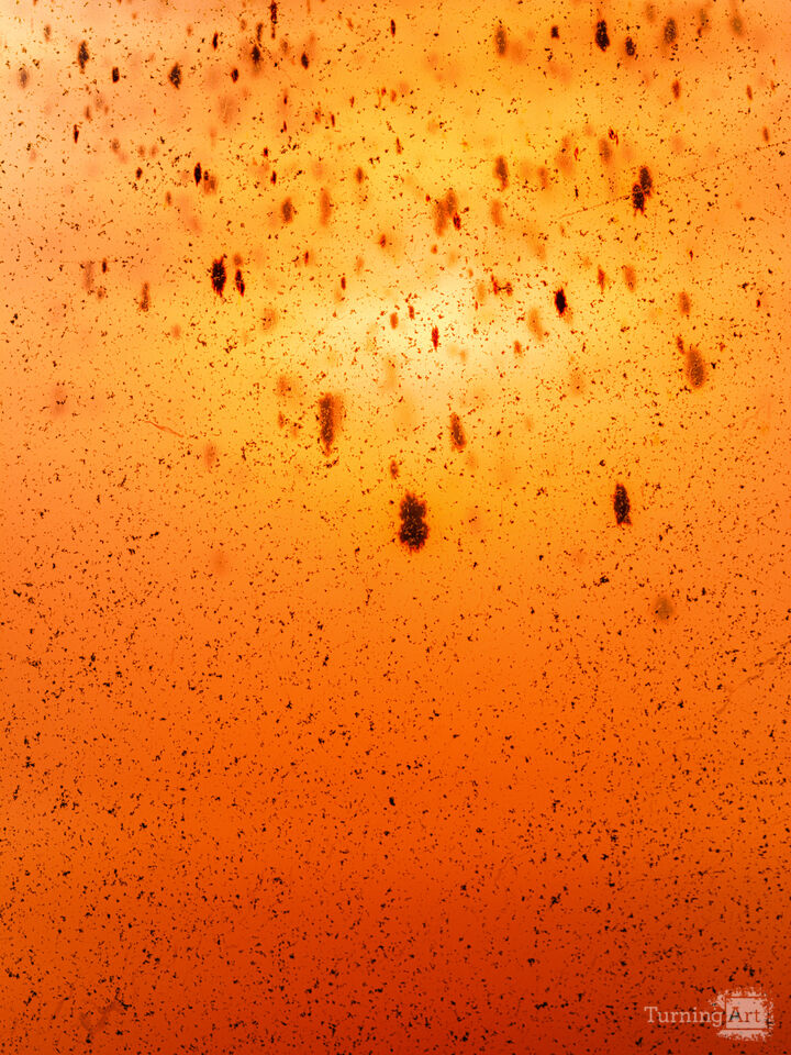 Vertical Agate Study 1