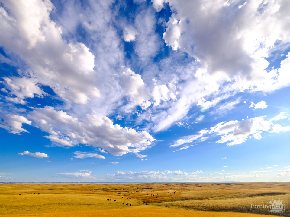 A Stunning Sky in the Midwest