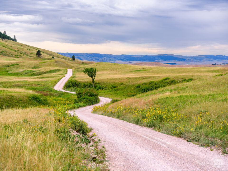 South Dakota Black Hills Road
