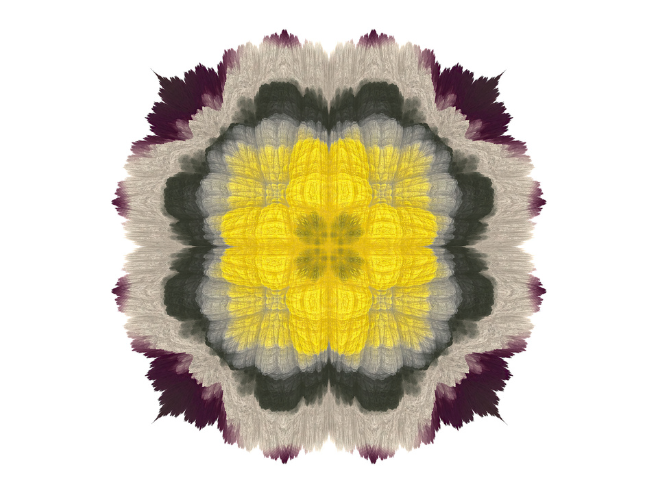 Floralis - Aspen - 5