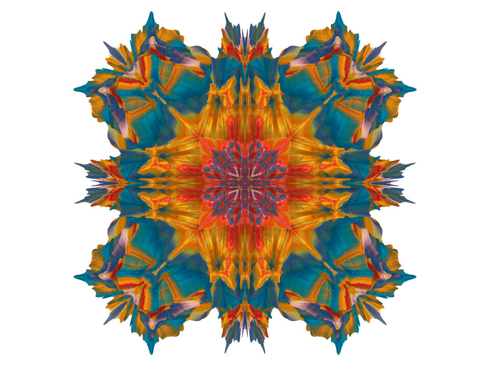 Floralis - Organic Star - 209d