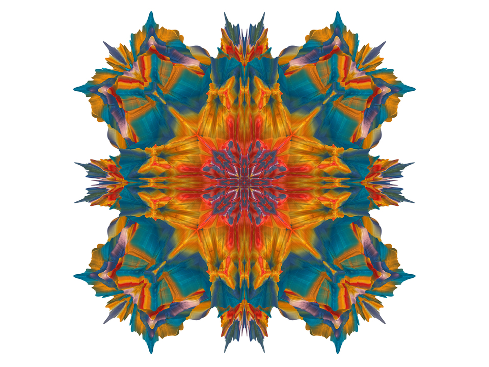 Floralis - Organic Star - 209d