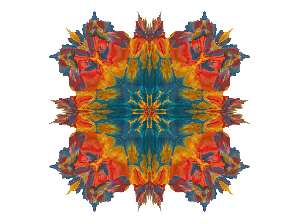 Floralis - Organic Star - 209g