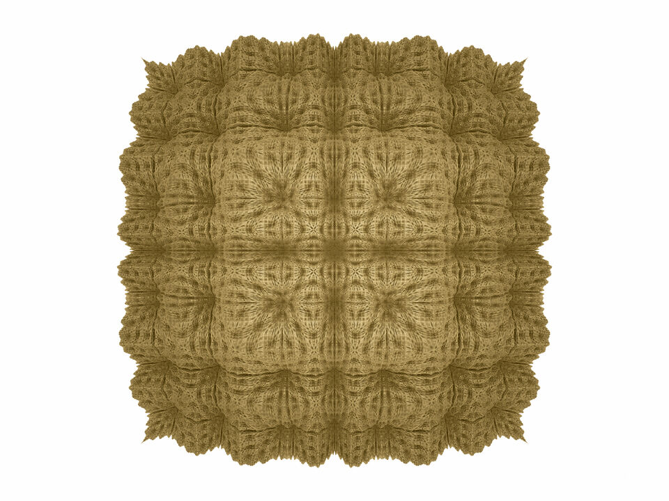 Floralis - Two Box - Brown